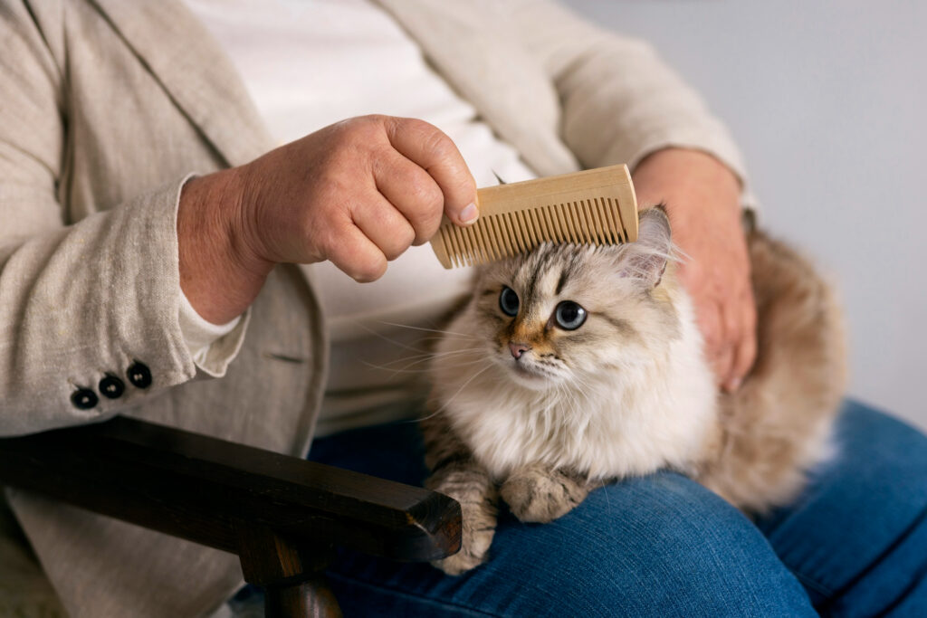 female hand brushing cat hair, full body IN THE HOUSE