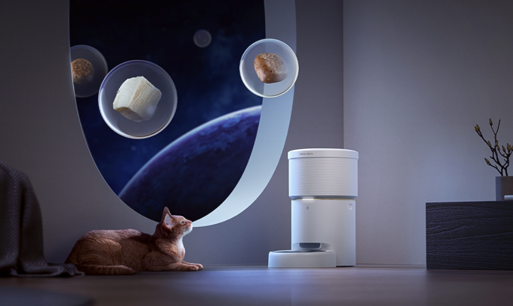 Best 3 Automatic Cat Feeder